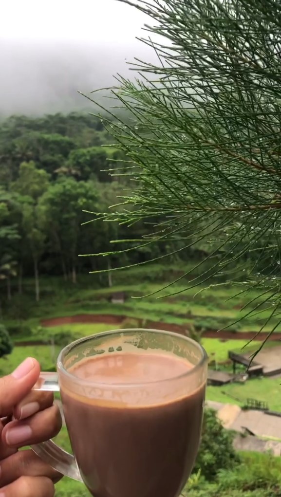 Consuming cocoa have 12 Health Benefits