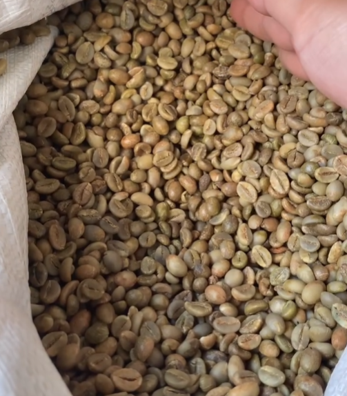 How to Choose the Best Roasted Coffee Beans for Your Café